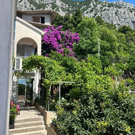 Davor Apartament Gradac (Split-Dalmatia)