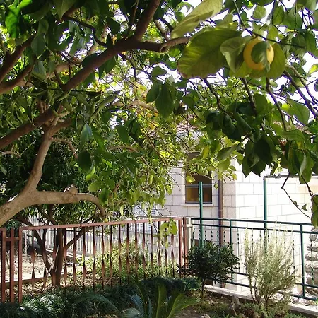 Davor Apartament *